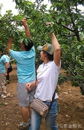 长春PG赏金船长化工科技开发有限公司